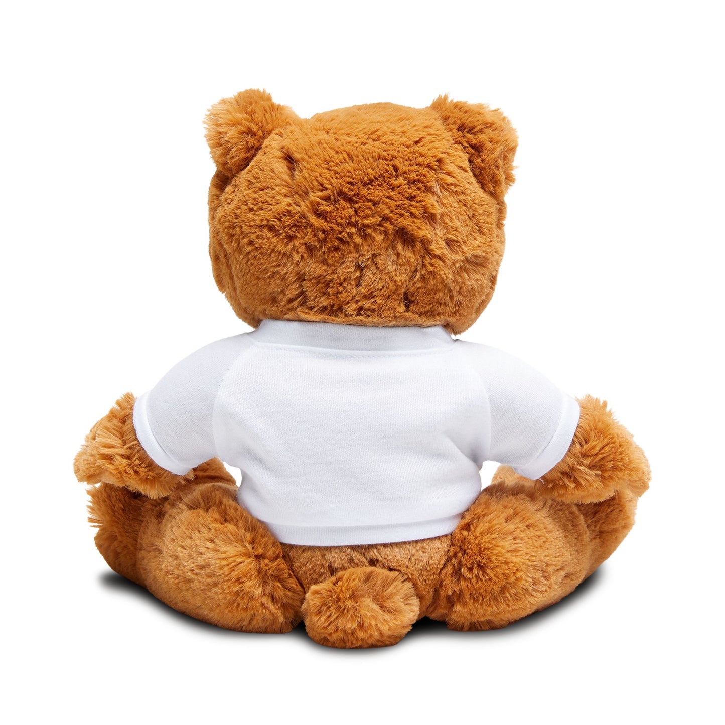 Copy of Teddy Bear with T-Shirt