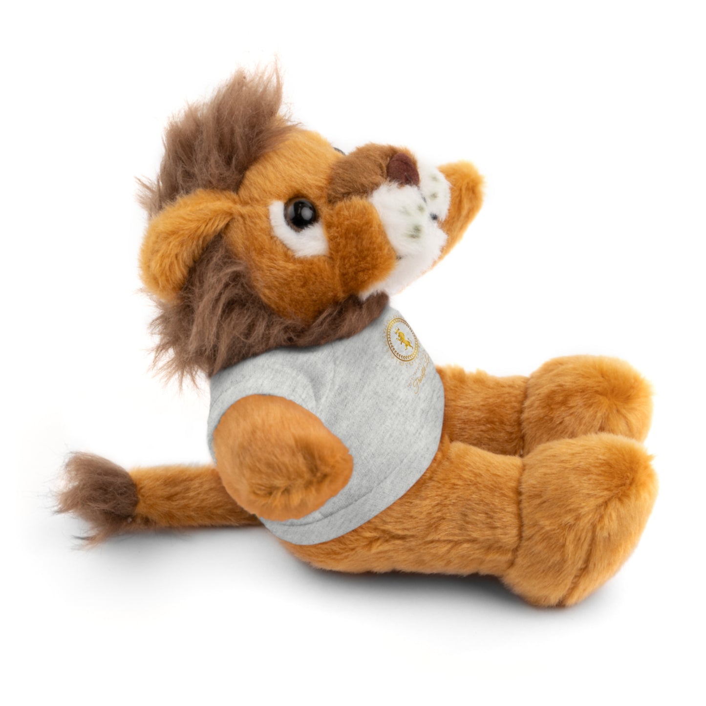 Customizable Stuffed Animal with T-Shirt - Perfect Gift for Kids and Celebrations