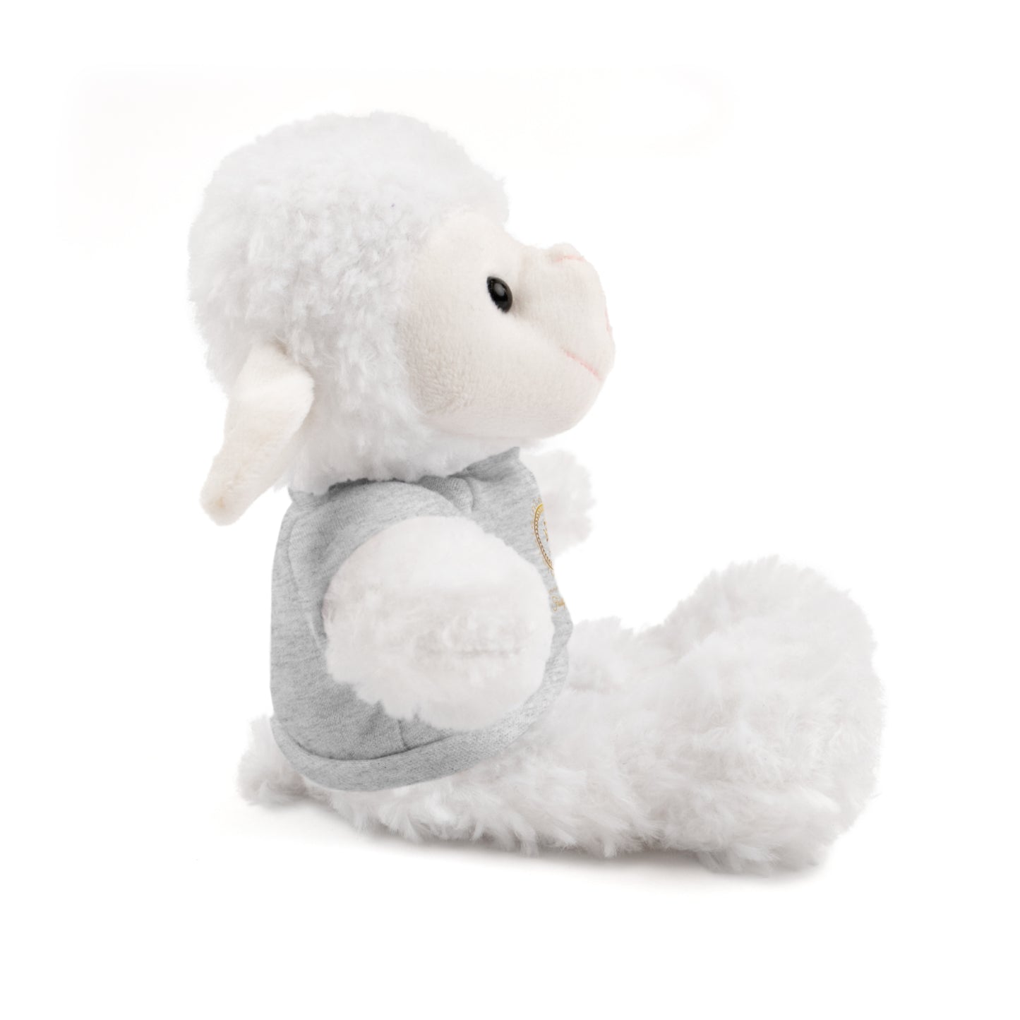 Customizable Stuffed Animal with T-Shirt - Perfect Gift for Kids and Celebrations