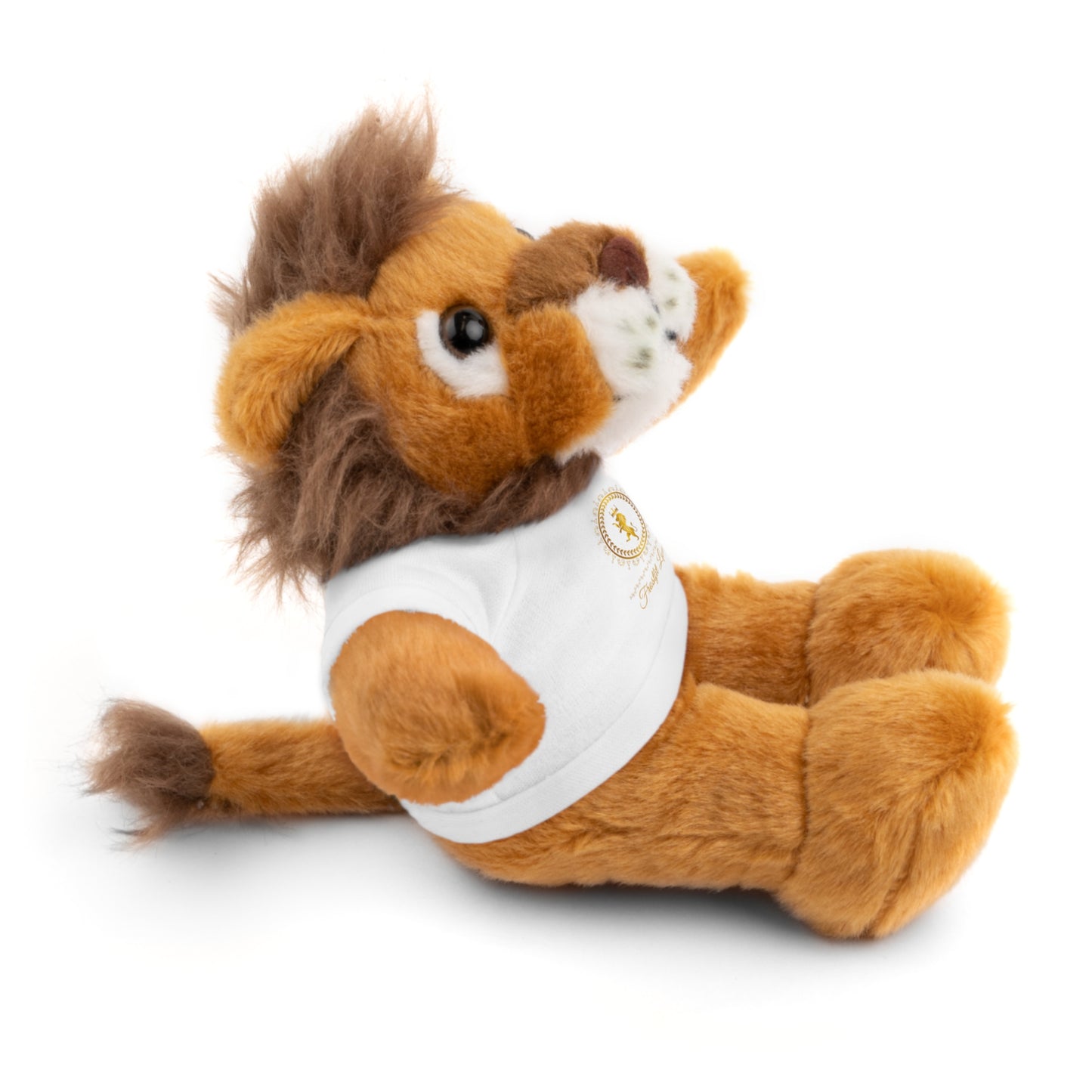 Customizable Stuffed Animal with T-Shirt - Perfect Gift for Kids and Celebrations